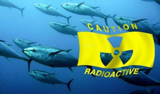 Océan contaminé