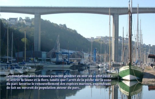 La Tribune (clic)