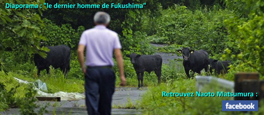Fukushima deux ans après